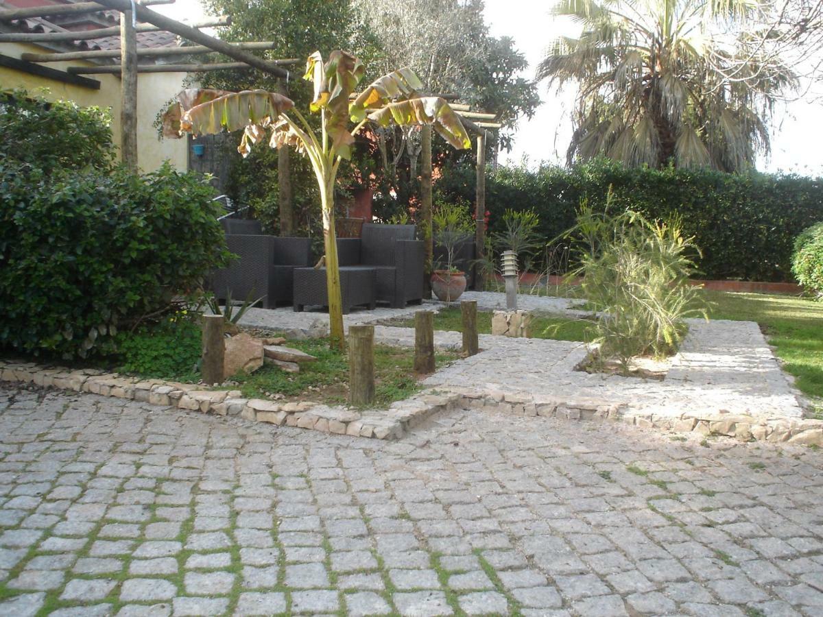 Quinta Da Sao Joao - Villa Oliveira Olhão Εξωτερικό φωτογραφία