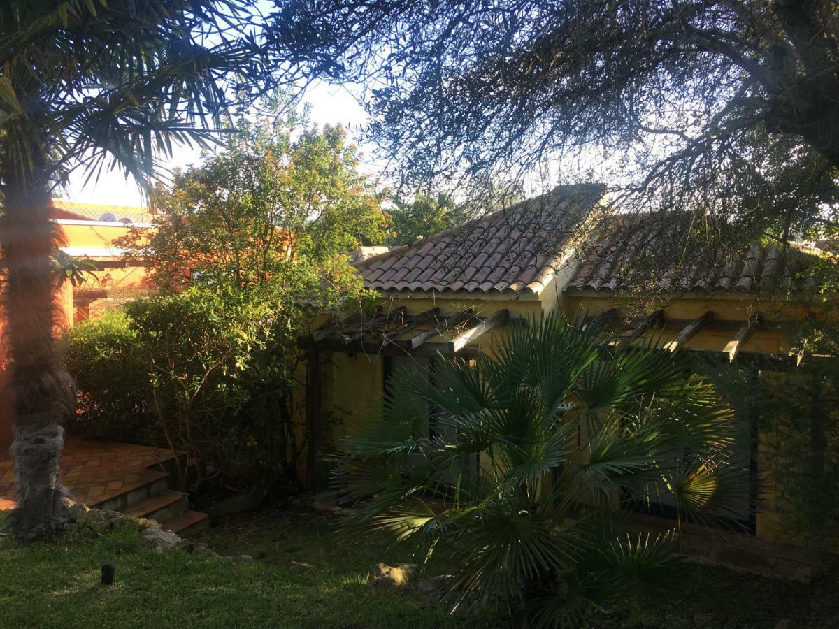 Quinta Da Sao Joao - Villa Oliveira Olhão Εξωτερικό φωτογραφία