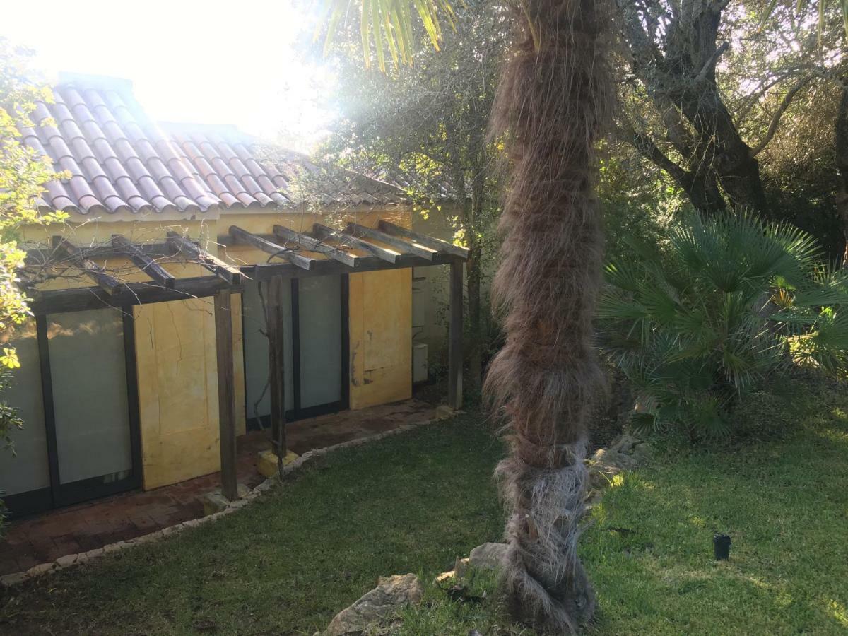 Quinta Da Sao Joao - Villa Oliveira Olhão Εξωτερικό φωτογραφία