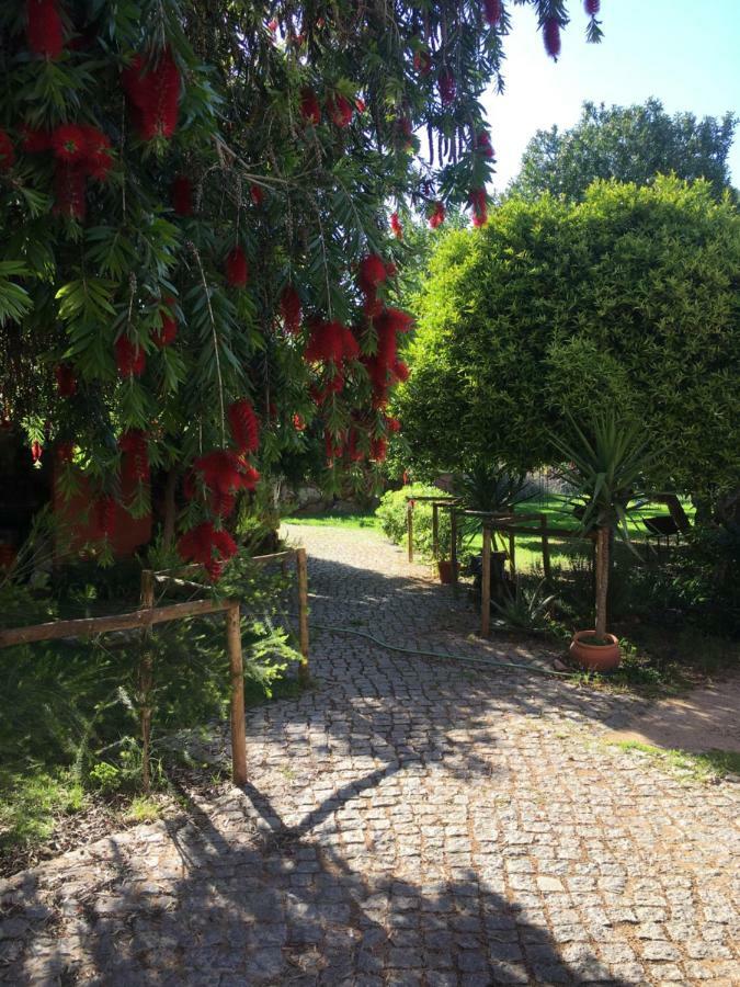 Quinta Da Sao Joao - Villa Oliveira Olhão Εξωτερικό φωτογραφία